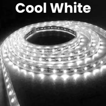 Cool White