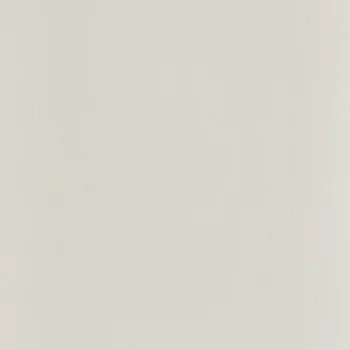 Modee Concrete Mono Ivory Slabs